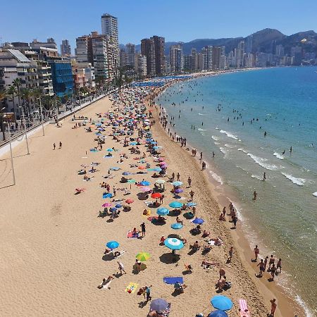 Lux Center - Fincas Arena Benidorm Eksteriør billede